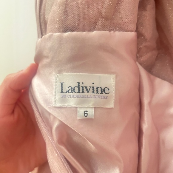 LaDivine By Cinderella Divine Dusty Pink Prom Dress (Size 6) - Picture 11 of 11